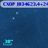 CXOP J034623.4+240856