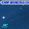 CXOP J034629.1+240839