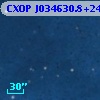 CXOP J034630.8+241124