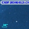 CXOP J034641.3+240426