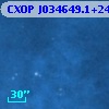 CXOP J034649.1+240833