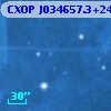 CXOP J034657.3+240612