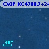 CXOP J034700.7+241322