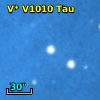 V* V1010 Tau
