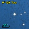 V* QX Tau