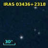 IRAS 03436+2318