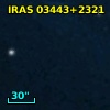 IRAS 03443+2321