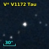 V* V1172 Tau