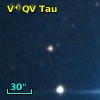 V* QV Tau