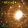 *  61 Cyg B