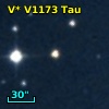 V* V1173 Tau