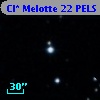 Cl* Melotte   22   PELS     147