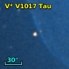 V* V1017 Tau