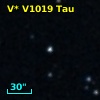 V* V1019 Tau