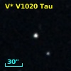 V* V1020 Tau