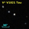 V* V1021 Tau