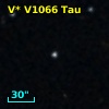 V* V1066 Tau