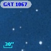 GAT 1067