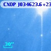 CXOP J034623.6+235538
