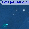 CXOP J034643.6+240120