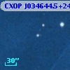 CXOP J034644.5+240122