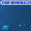 CXOP J034648.1+240334
