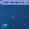 CXOP J034651.4+235953