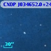 CXOP J034652.0+240005