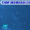 CXOP J034659.9+240132