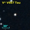 V* V667 Tau