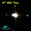 V* WZ Tau