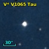 V* V1065 Tau