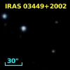 IRAS 03449+2002