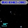 IRAS 03462+2002