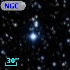 NGC  7092   241