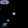 TYC 1260-1335-1