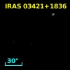 IRAS 03421+1836