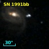 SN 1991bb