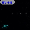WV 441