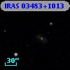 IRAS 03483+1013