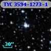 TYC 3594-1273-1