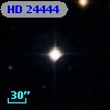 HD  24444