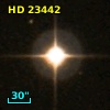 HD  23442