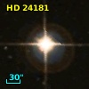 HD  24181