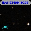 IRAS 03490+0206