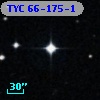 TYC   66-175-1