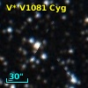 V* V1081 Cyg