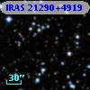 IRAS 21290+4919