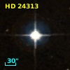 HD  24313