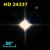 HD  24337